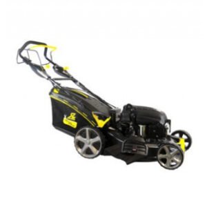 ROQUES ET LECOEUR RL 8481 RASSMASCHINE