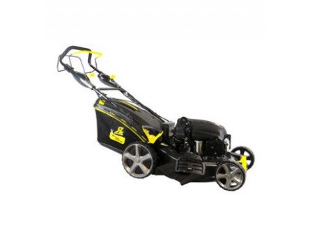 ROQUES ET LECOEUR RL 8481 RASSMASCHINE